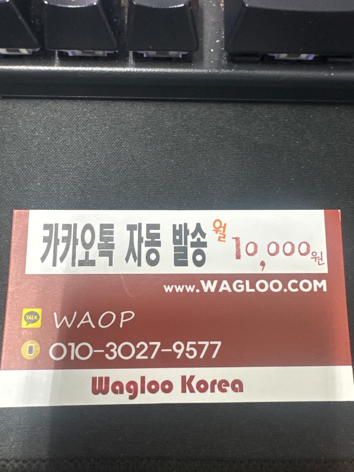 동대문 도매시장 명함 홍보 알바 공고 썸네일
