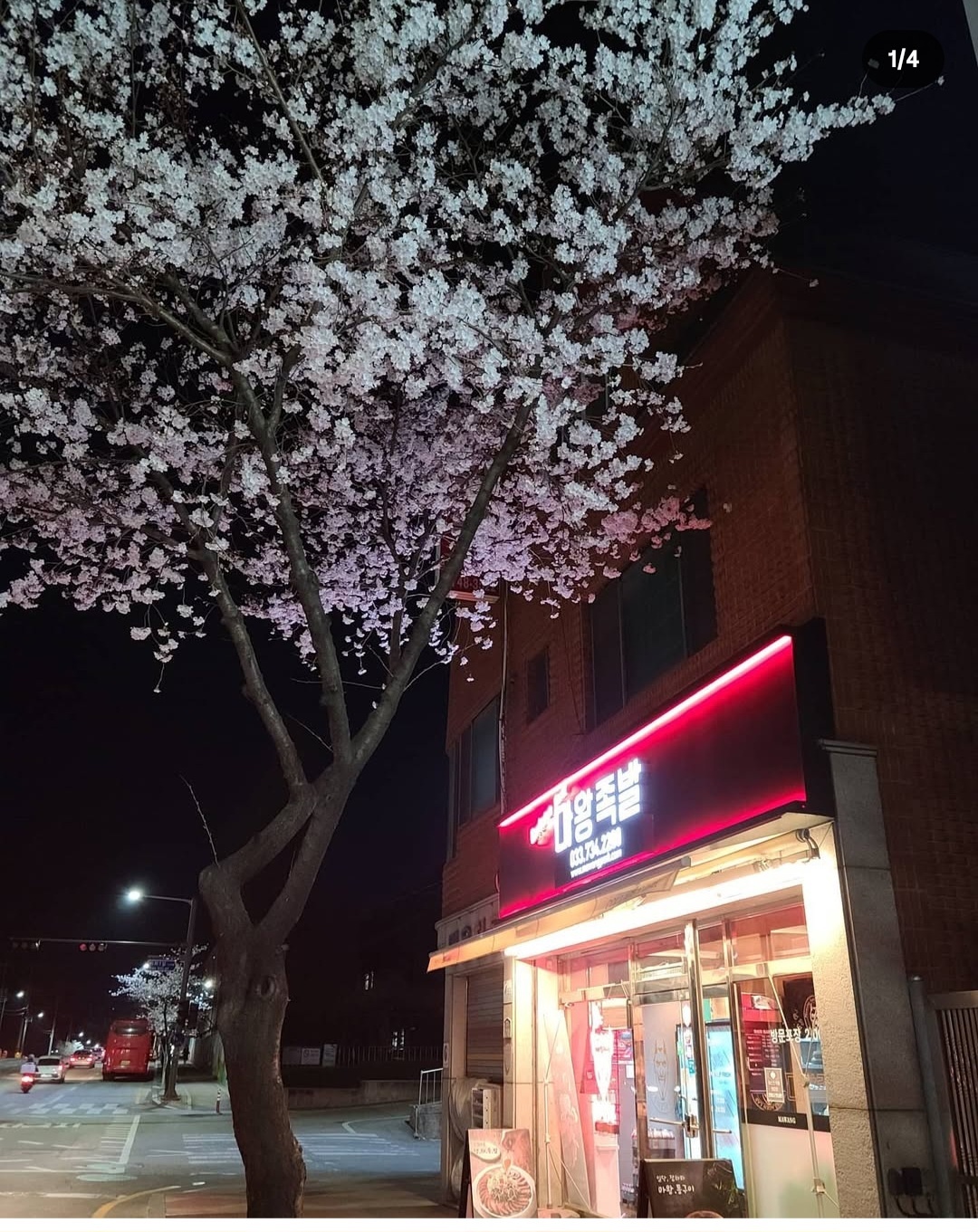 마왕족발 단계점 직원구합니다 공고 썸네일