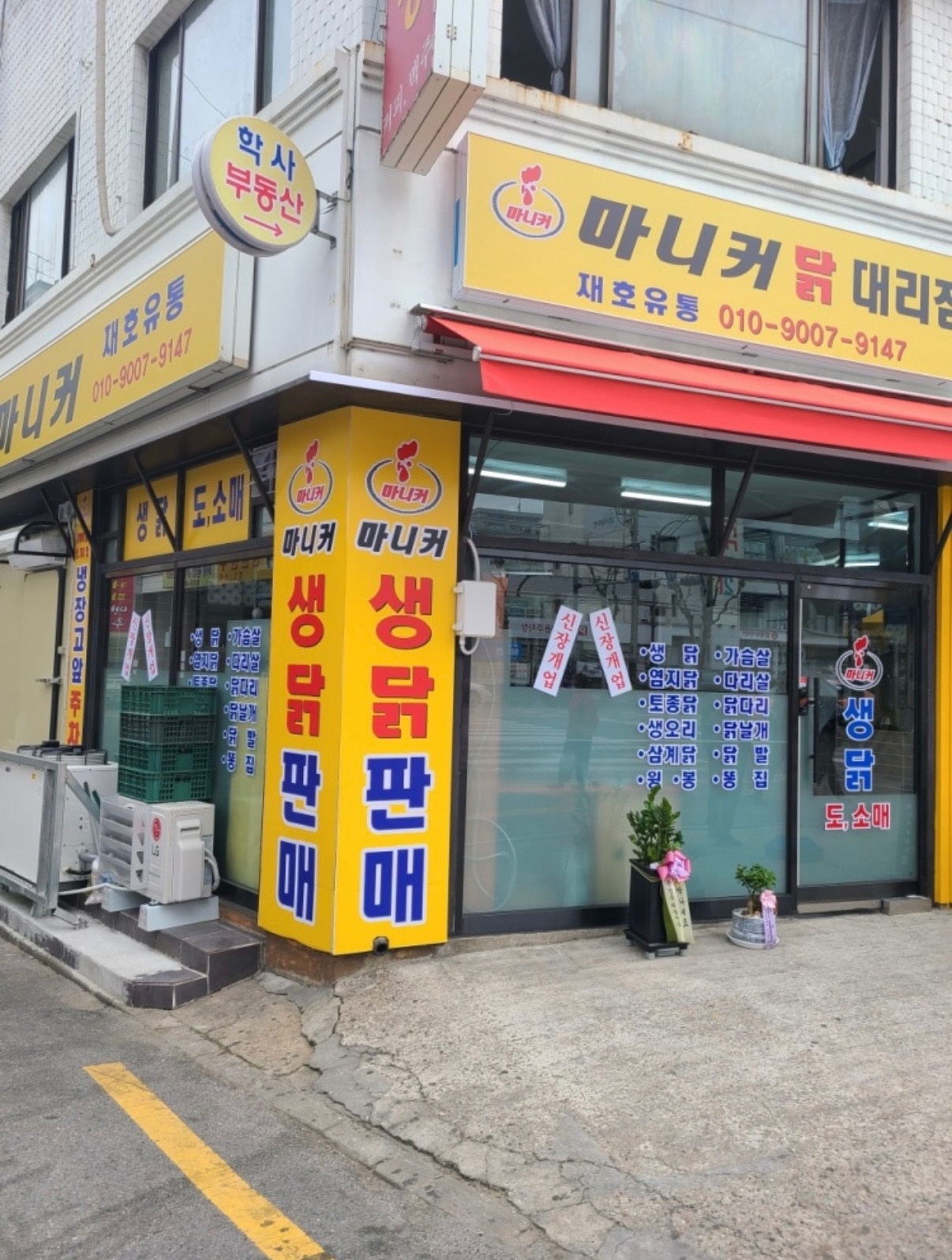 마니커 닭 대리점 단순보조업무 공고 썸네일