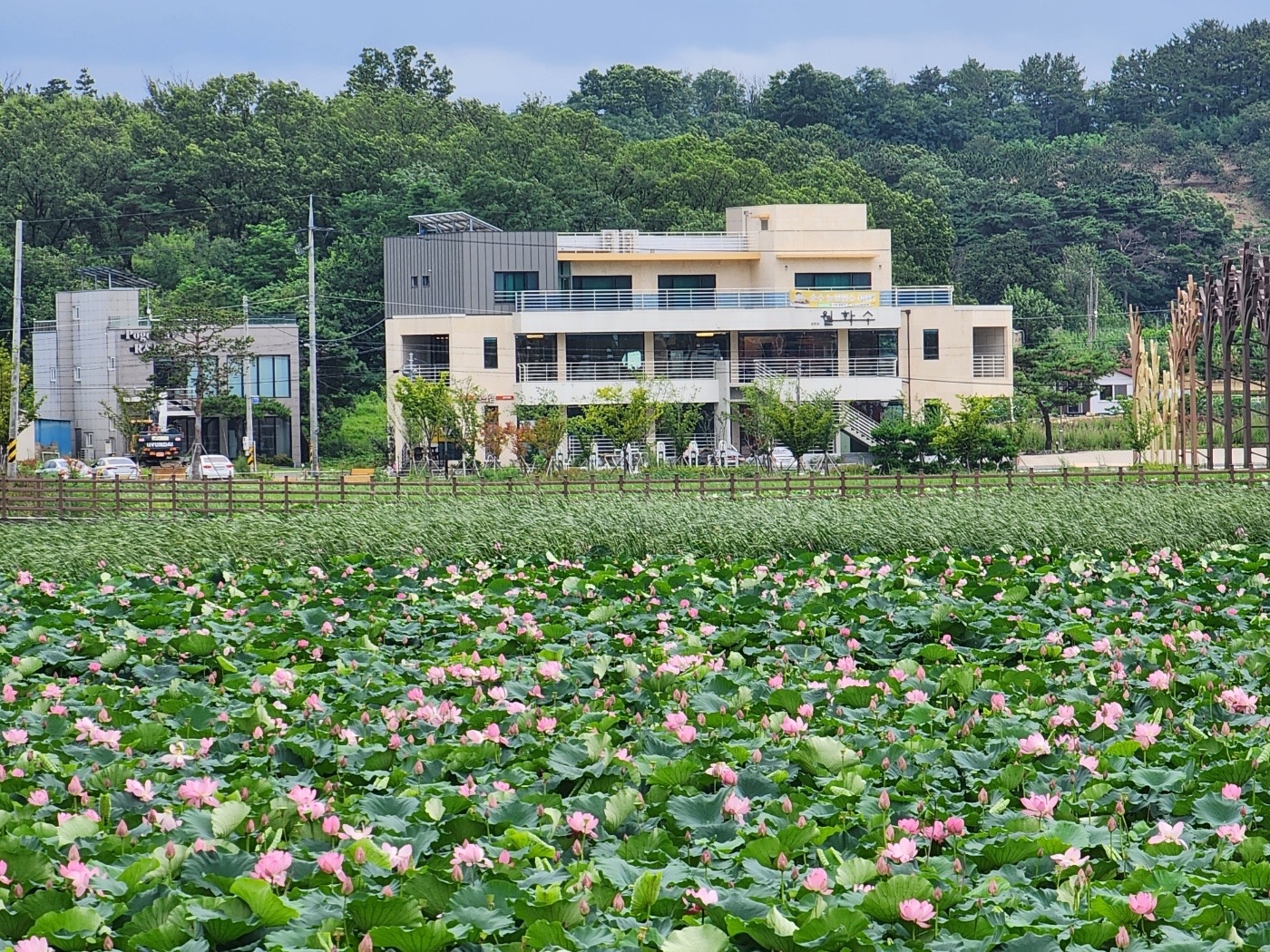 카페 월화수 직원 모집합니다! 공고 썸네일