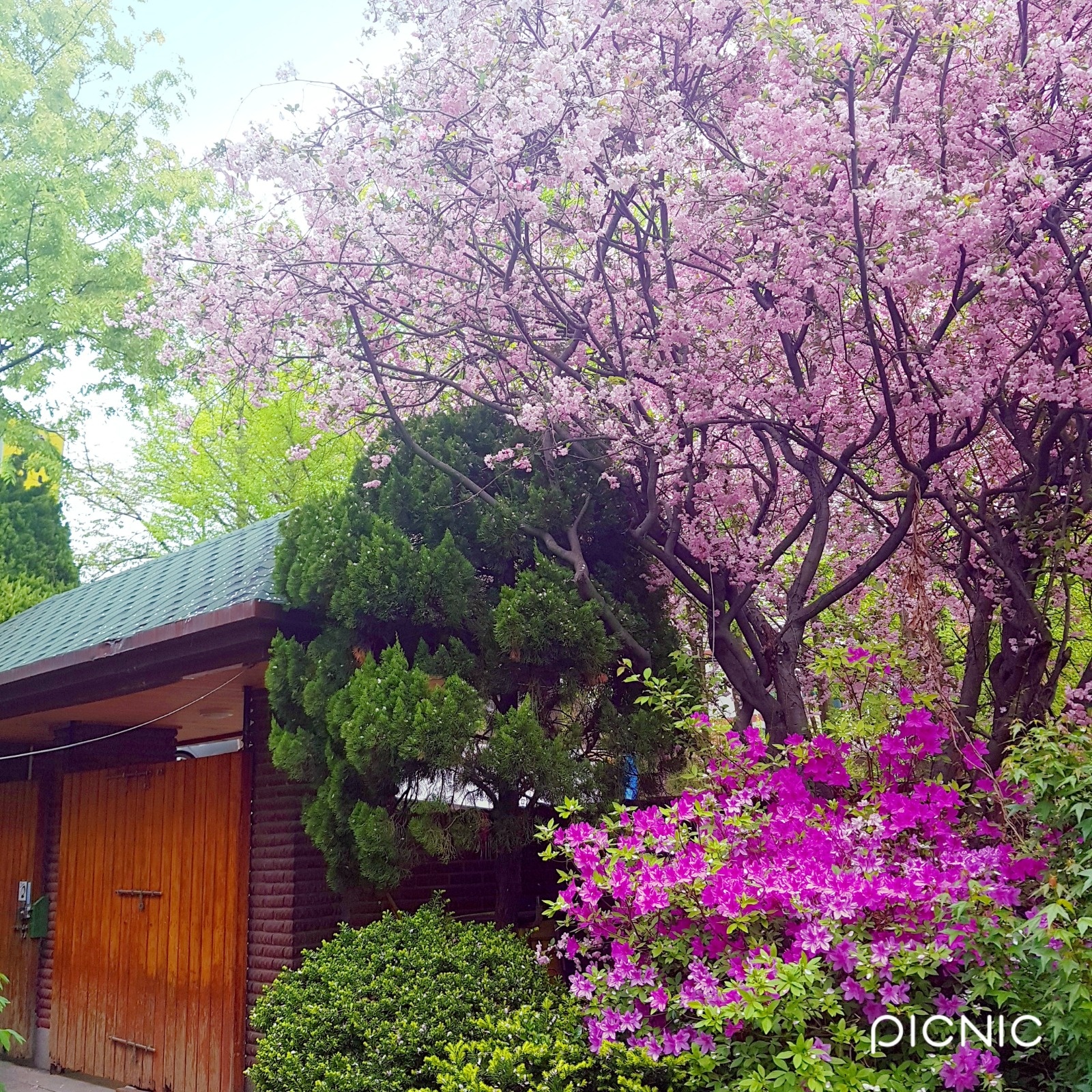 주3회 마당 청소 해주실 분 구해요:) 공고 썸네일