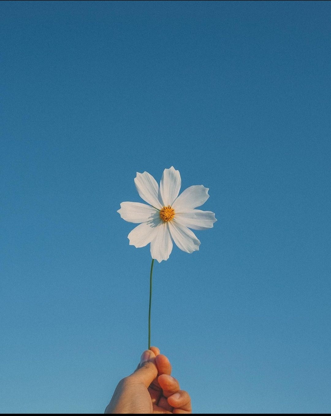 주 5일 근무 하실분 구합니다. 공고 썸네일