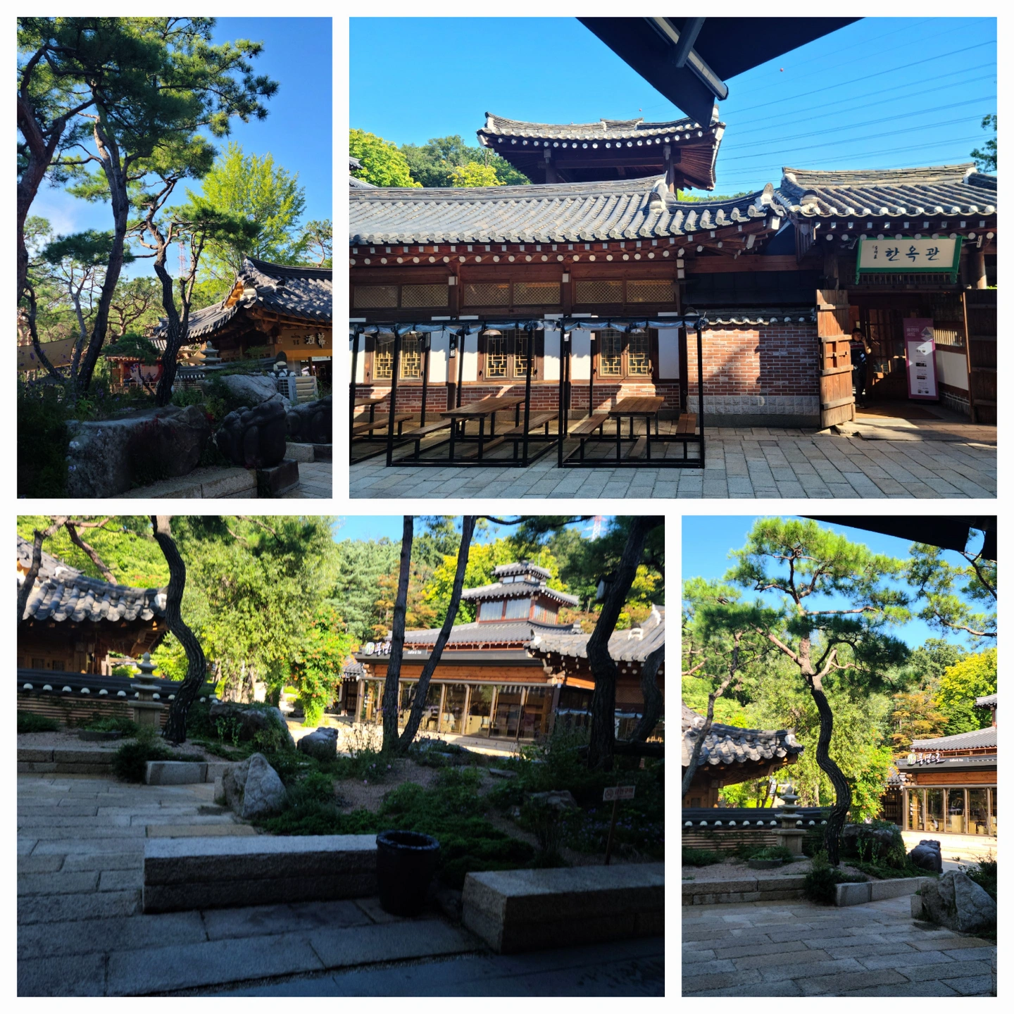 강강술래 식사관 정직원 구합니다