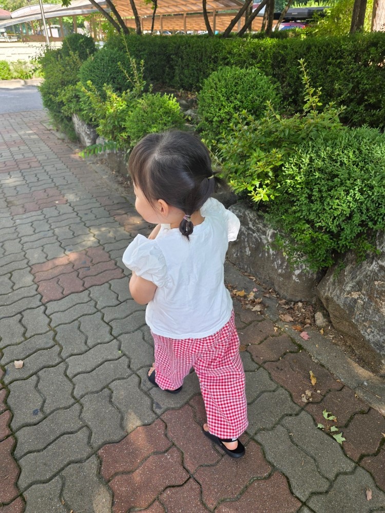 4세 아이 하원후 놀이시터 (주 3일 / 20대 가능) 공고 썸네일