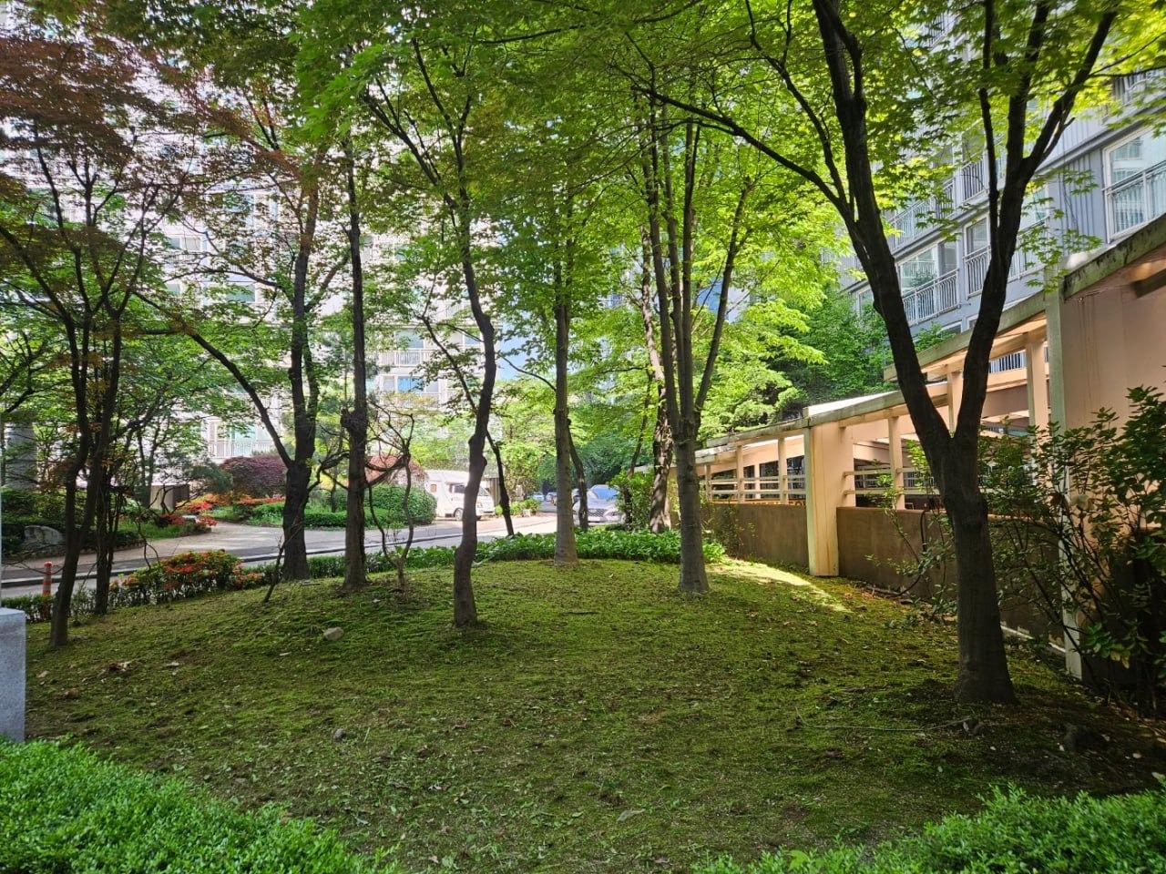 조경 기공(남,전문가지원)//제초  (여,초보가능) 공고 썸네일