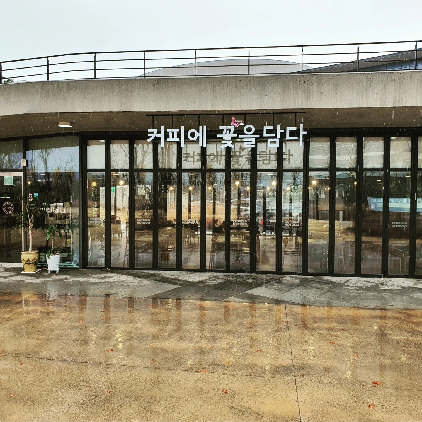 커피에꽃을담다 평일 구합니다