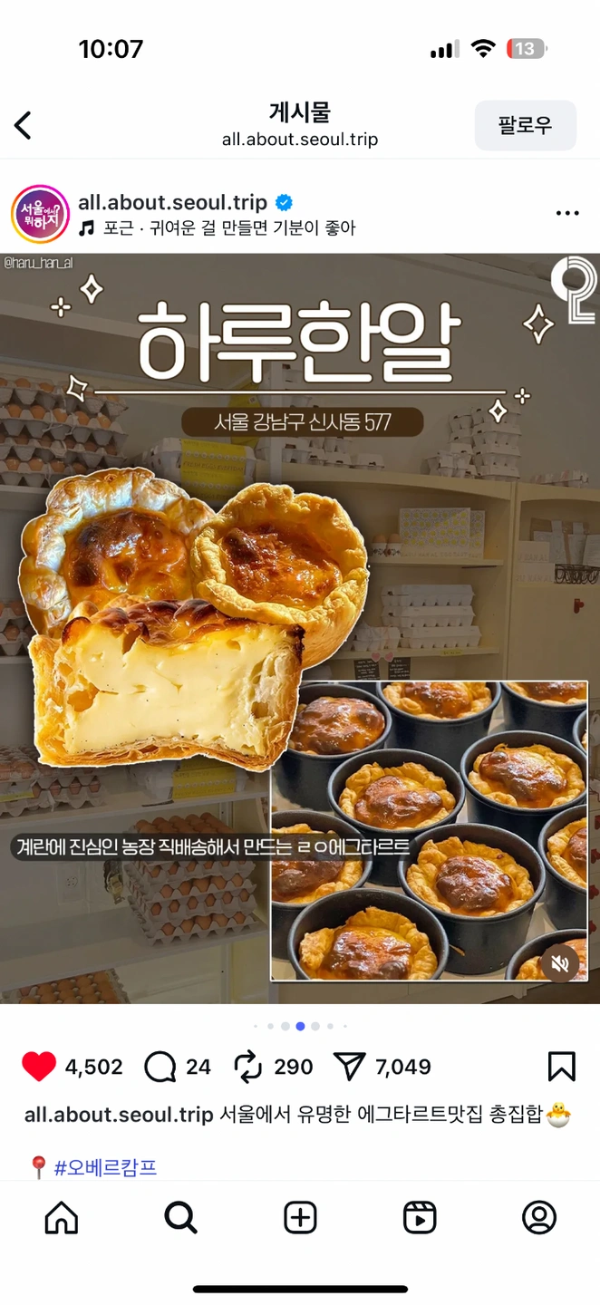 신촌 현대백화점 팝업 판매 알바