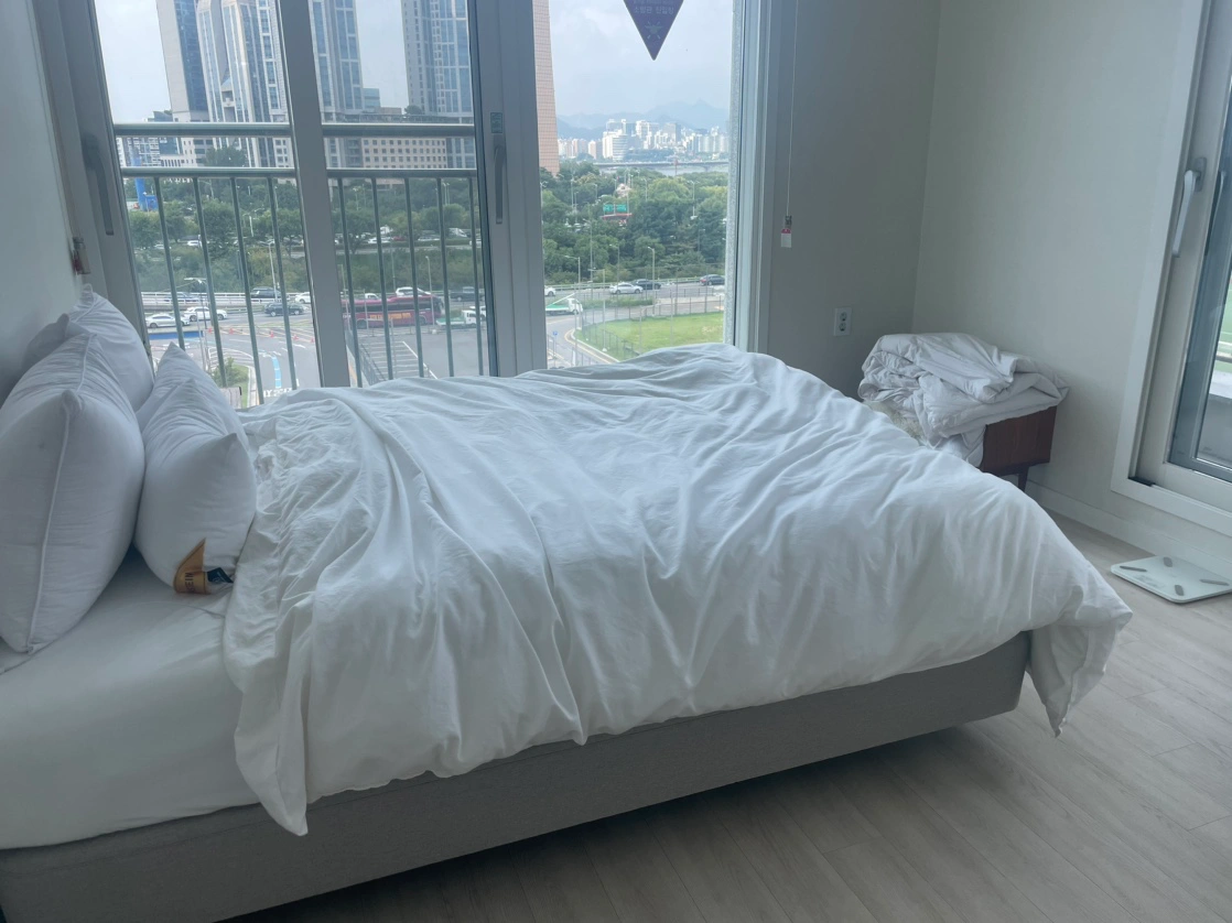 집 청소 및 분리수거 정리 와주실분 모십니다