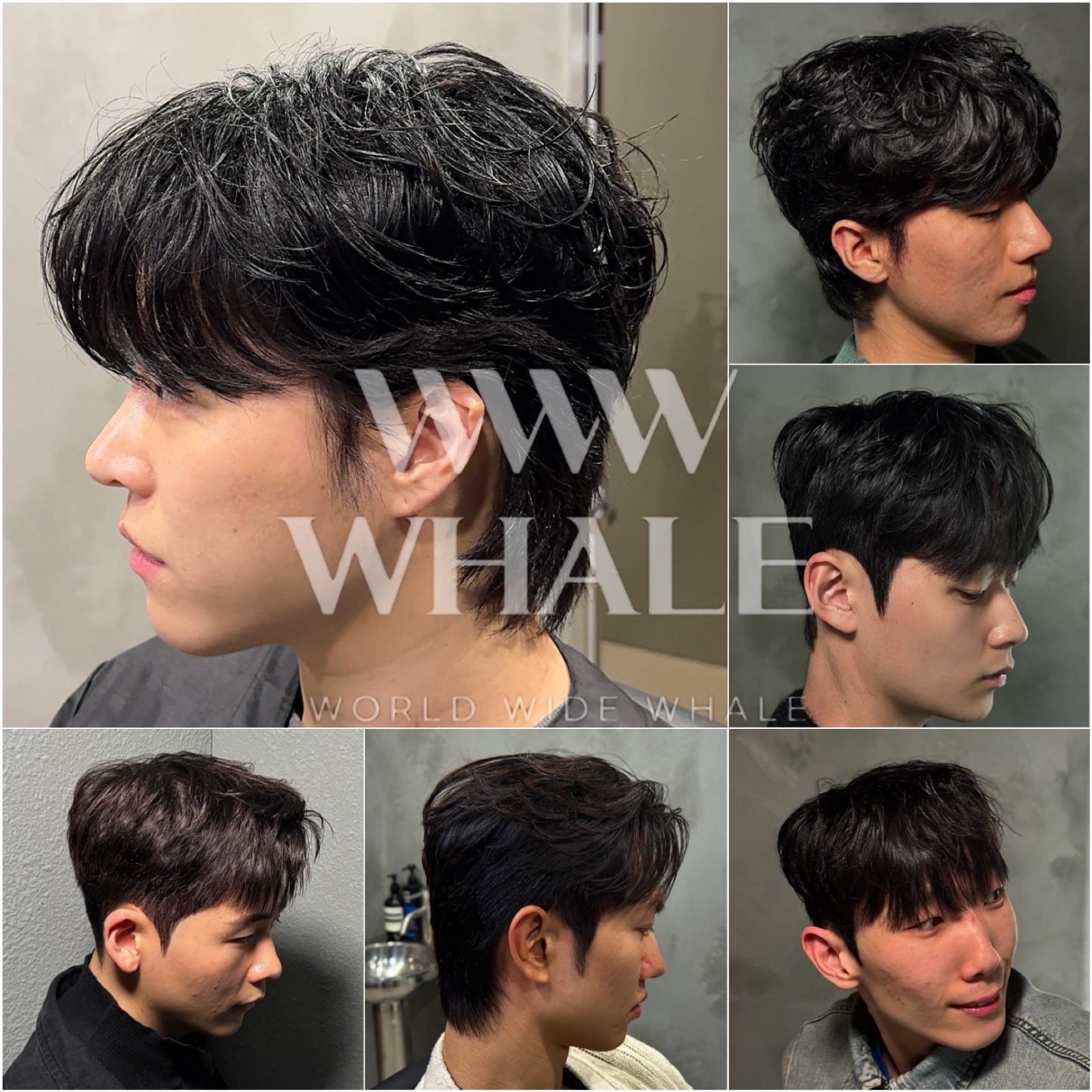 서울대입구역 미용실 웨일 라이트 헤어 모델 구합니다 공고 썸네일