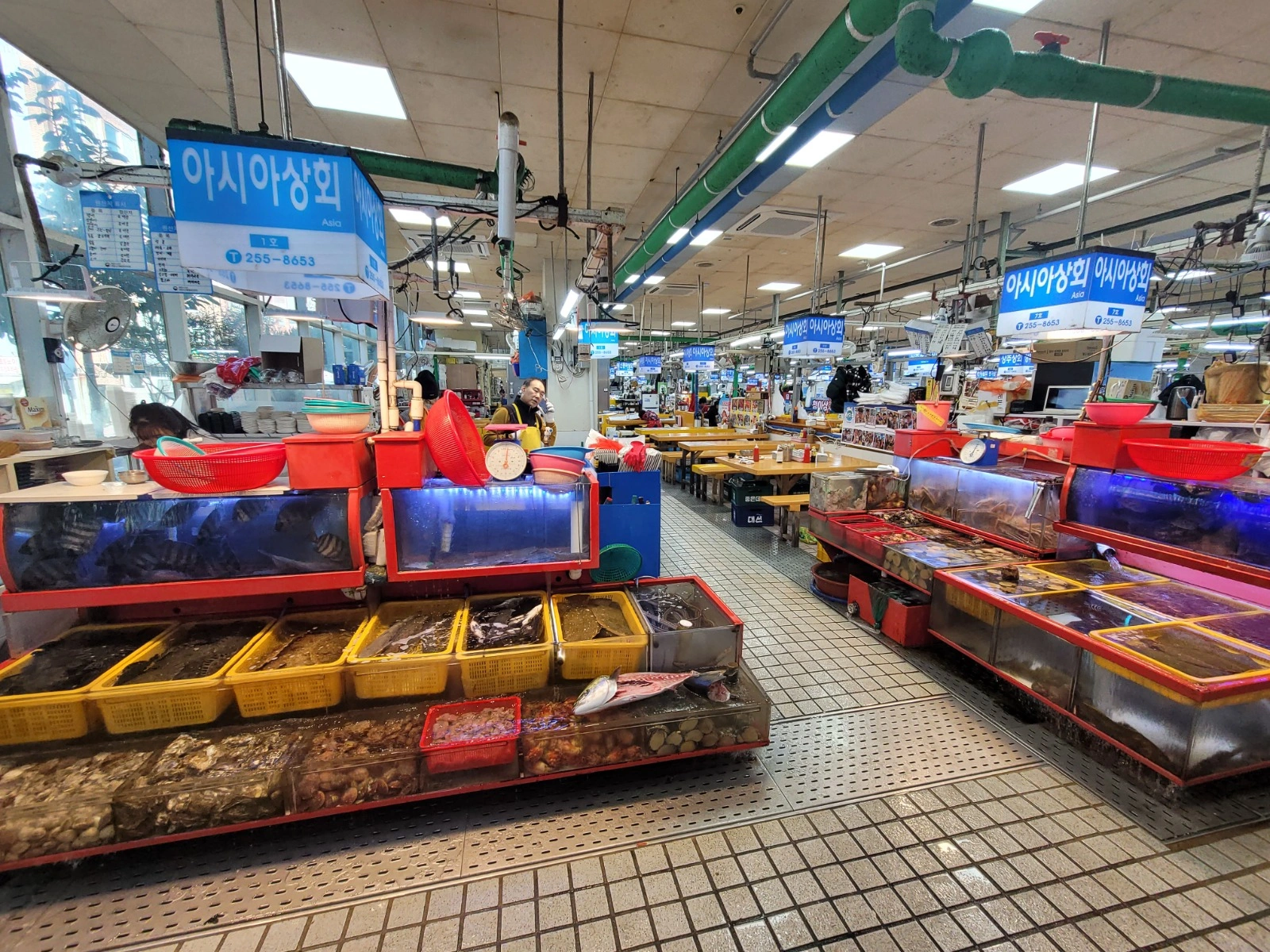 신동아시장내 횟집 서빙/주방보조 직원 구합니다
