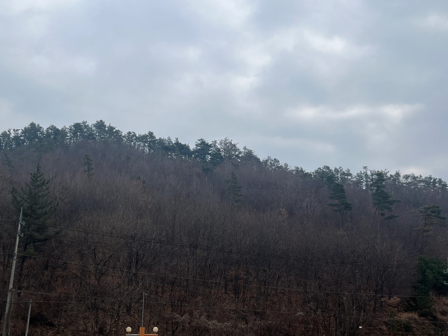 중식장 주방보조