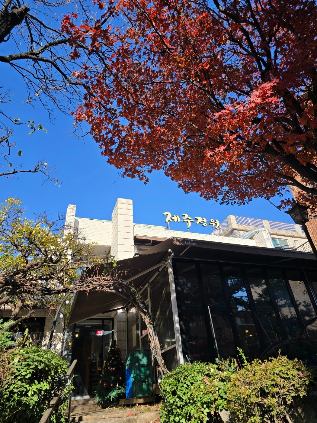 제주정원 점심 찬 모 구합니다