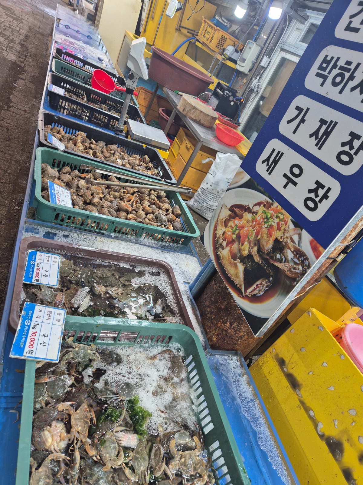 직원.알바(남.여) 공고 썸네일