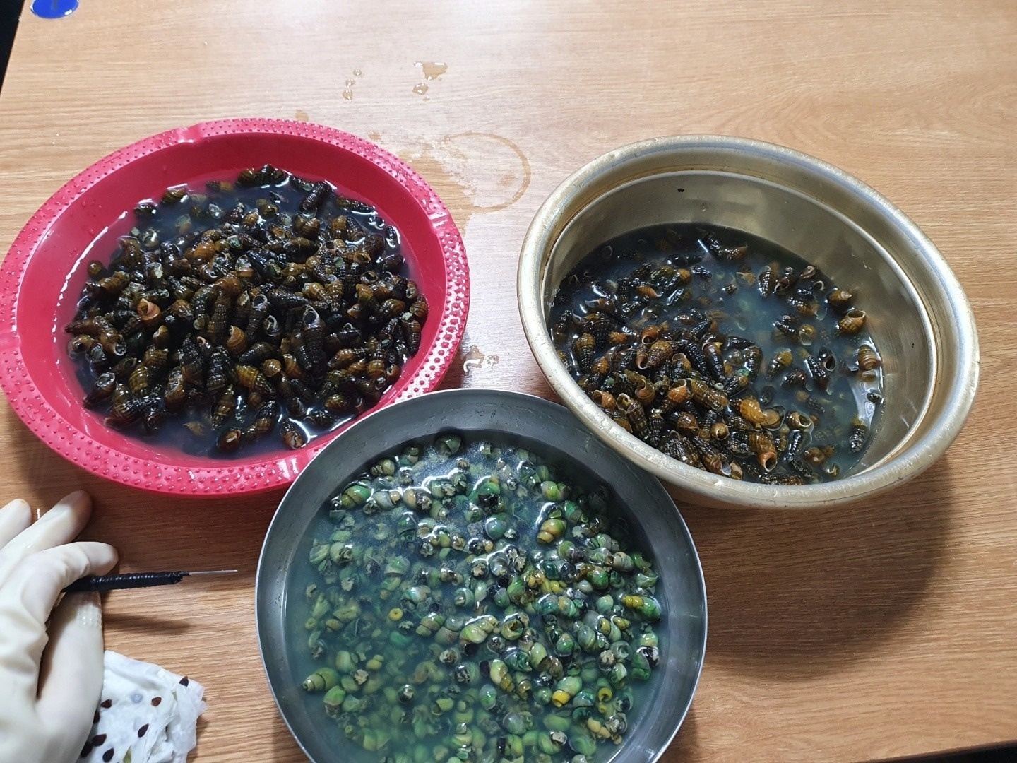 식당 서빙겸 주방보조 단기알바 공고 썸네일