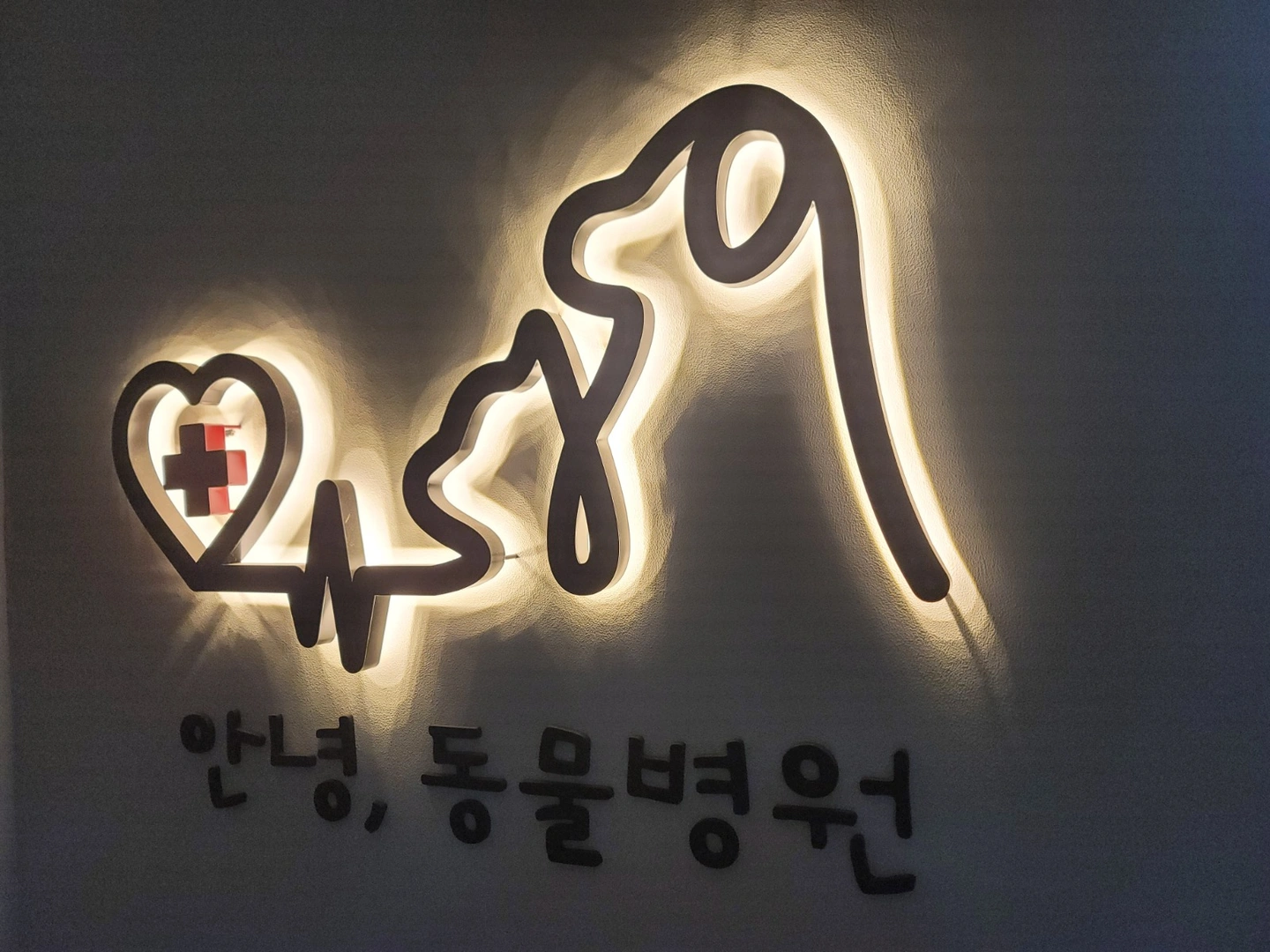 안녕동물병원 테크니션 선생님 구인합니다