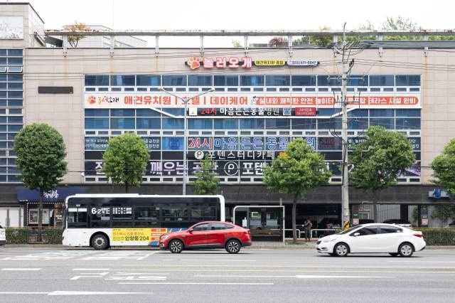 놀러오개 애견유치원 애견호텔 안양점 선생님 모셔요 공고 썸네일