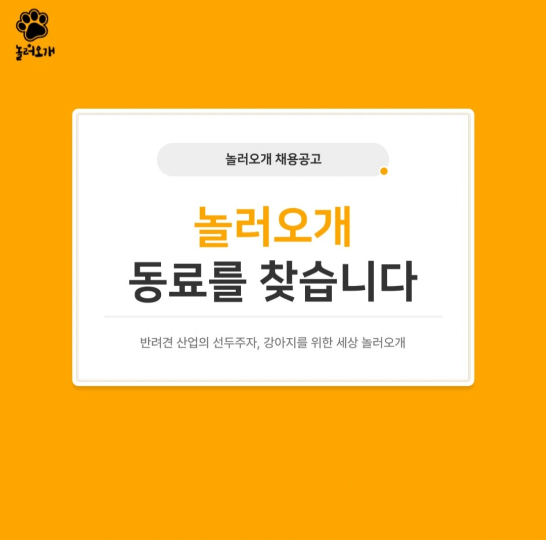 놀러오개 애견유치원 안양점 전임 선생님 모셔요