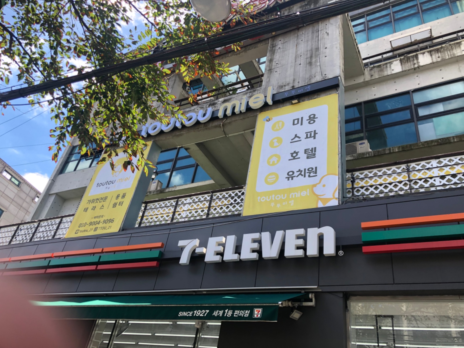 애견 유치원 뚜뚜미엘 선생님 모집합니다 공고 썸네일