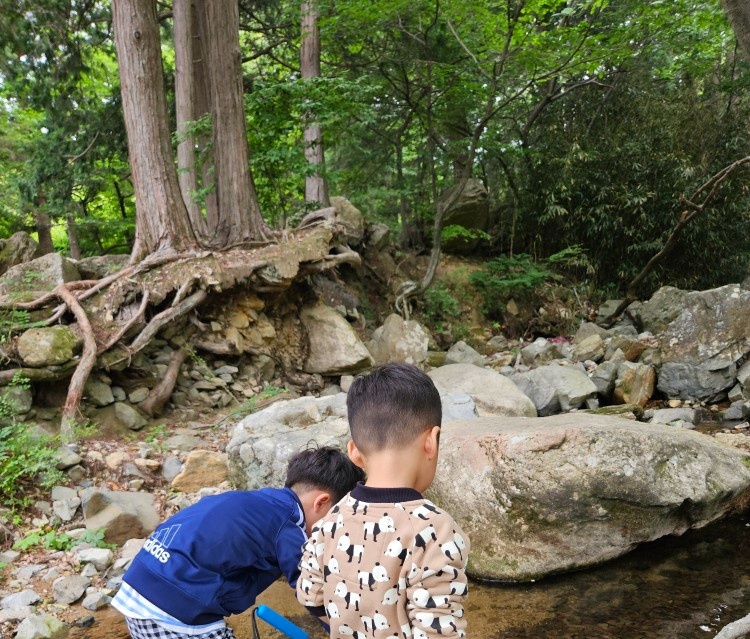 가사도우미. 아이돌봄. 이모님구해요. 공고 썸네일