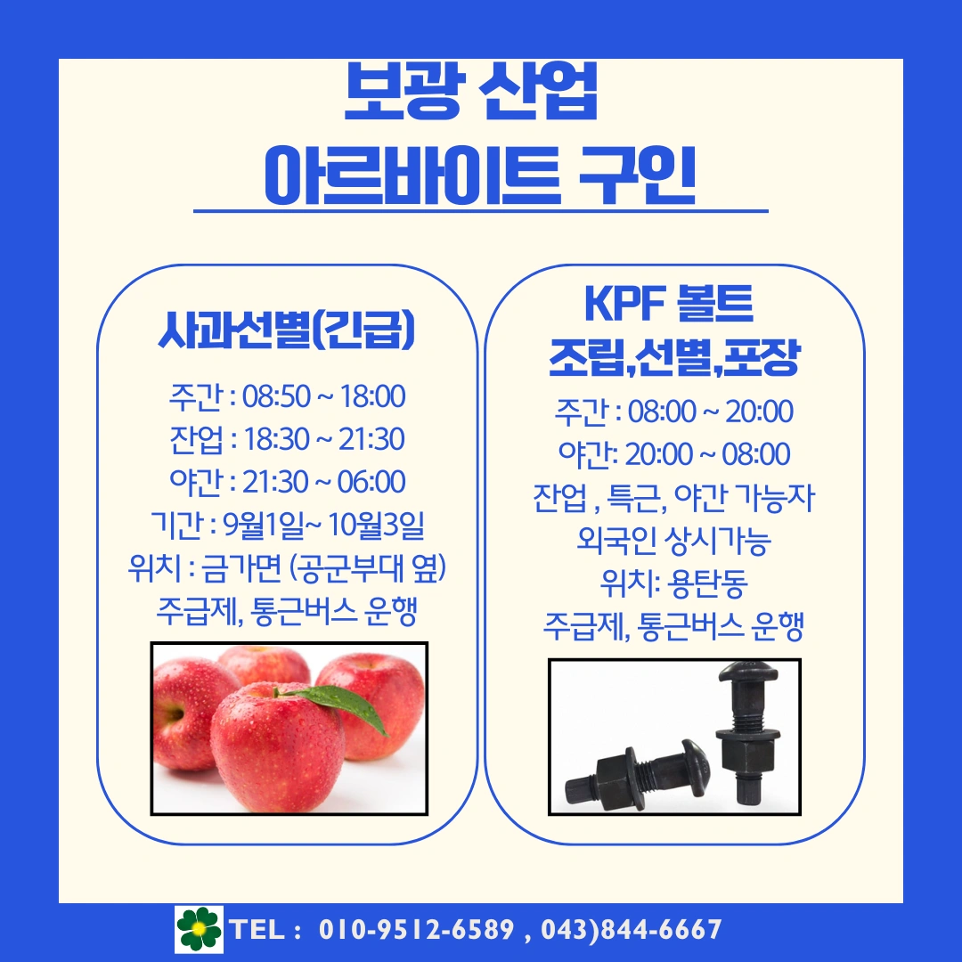 사과 선별 인원 구인