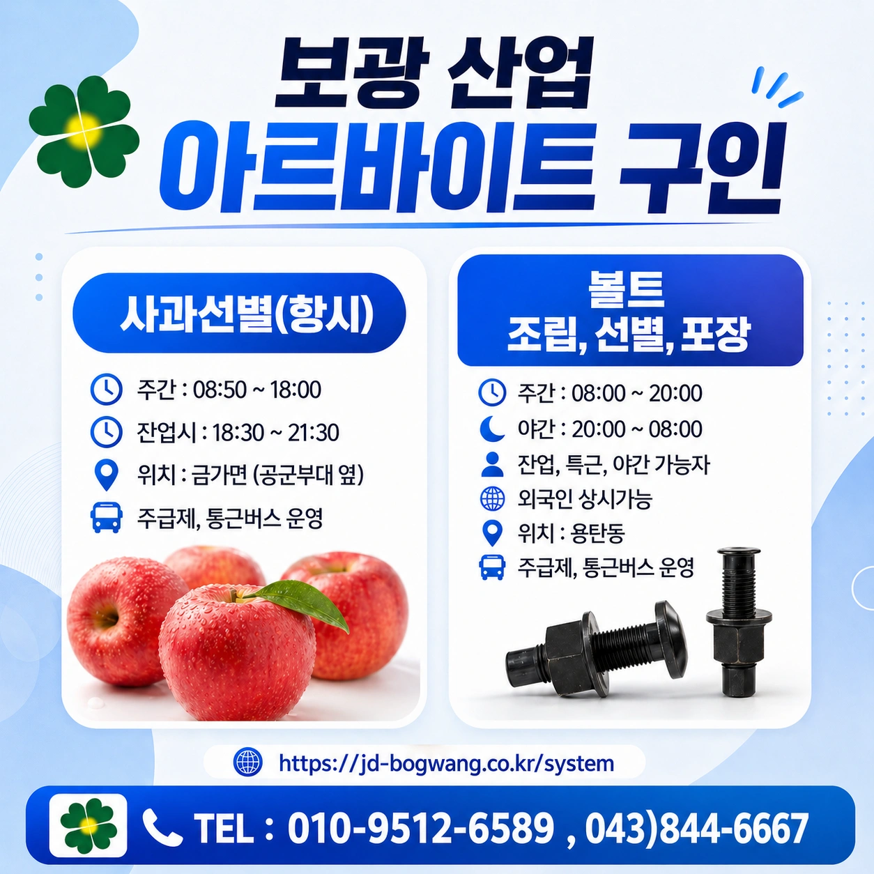 사과 선별 포장 인원 구인