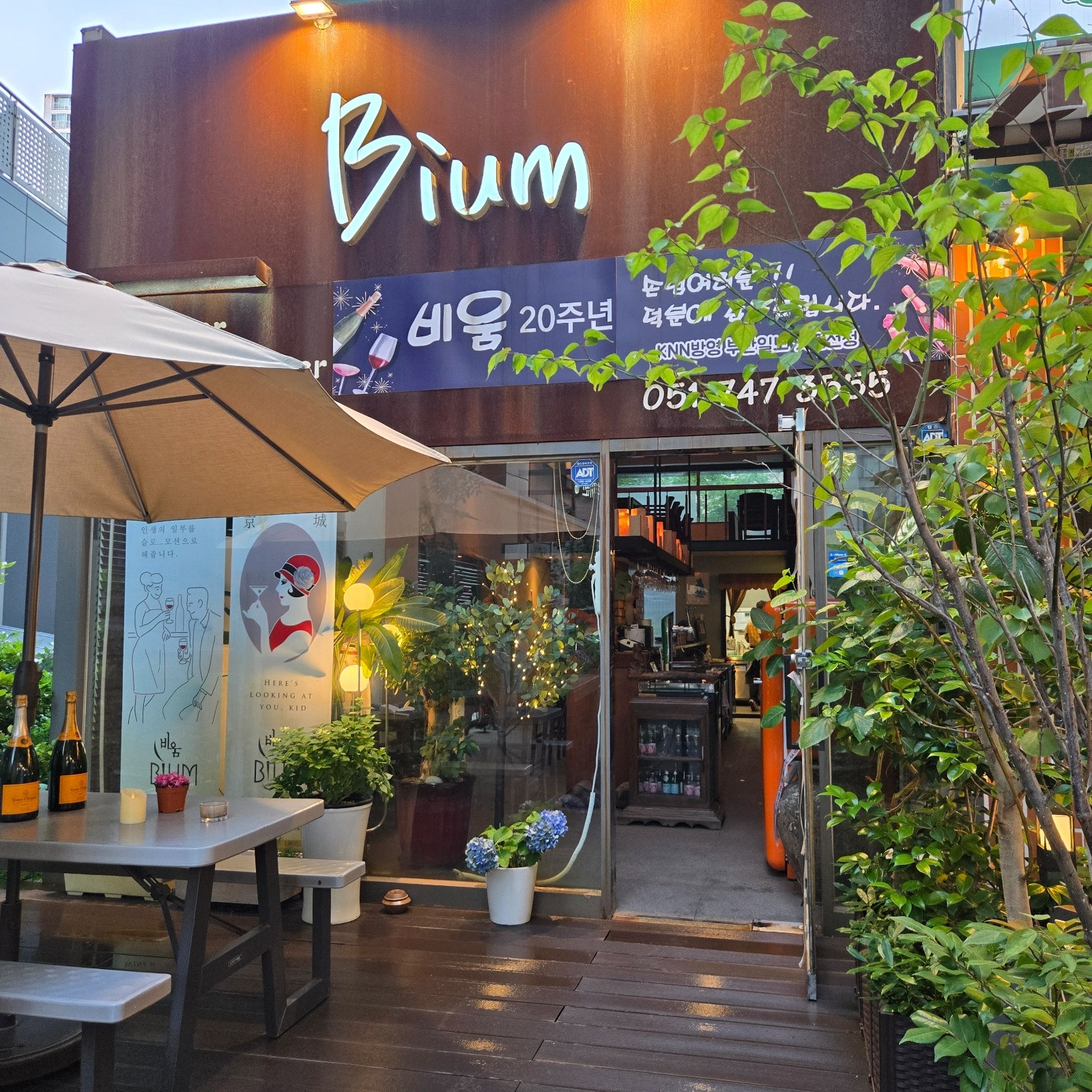 전통와인바 비움 소믈리에 바텐더 정직원 및 알바 공고 썸네일