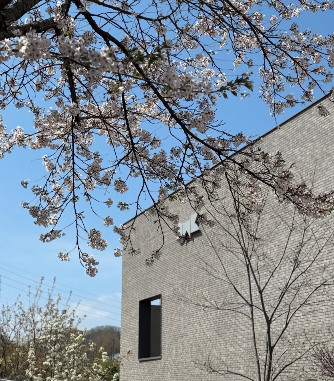 카페 설거지 아르바이트. 공고 썸네일