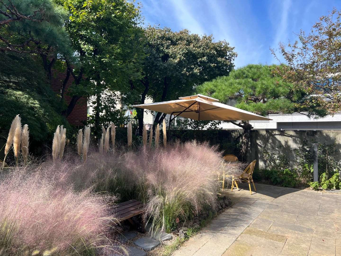 카페 새라울 마감조 주5일 근무 정직원 모집합니다
