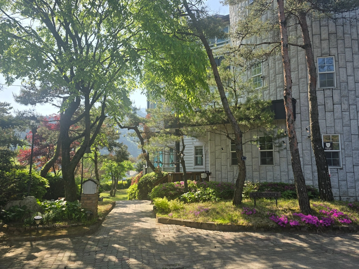 오원리 펜션 청소(운전필수) 오래함께하실분
