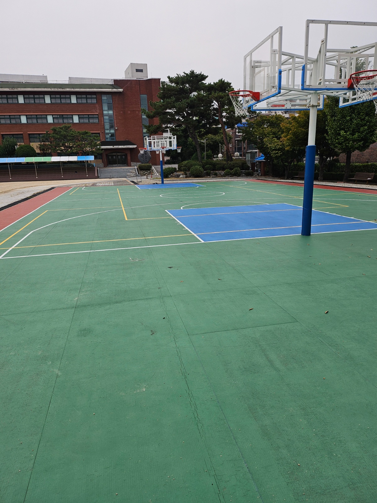 농구 레슨 희망 공고 썸네일