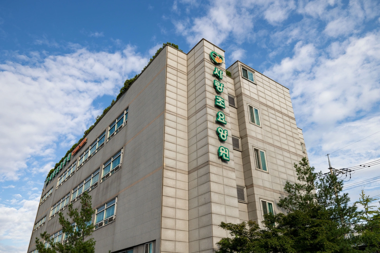 양천구 사랑초요양원 요양보호사 모집