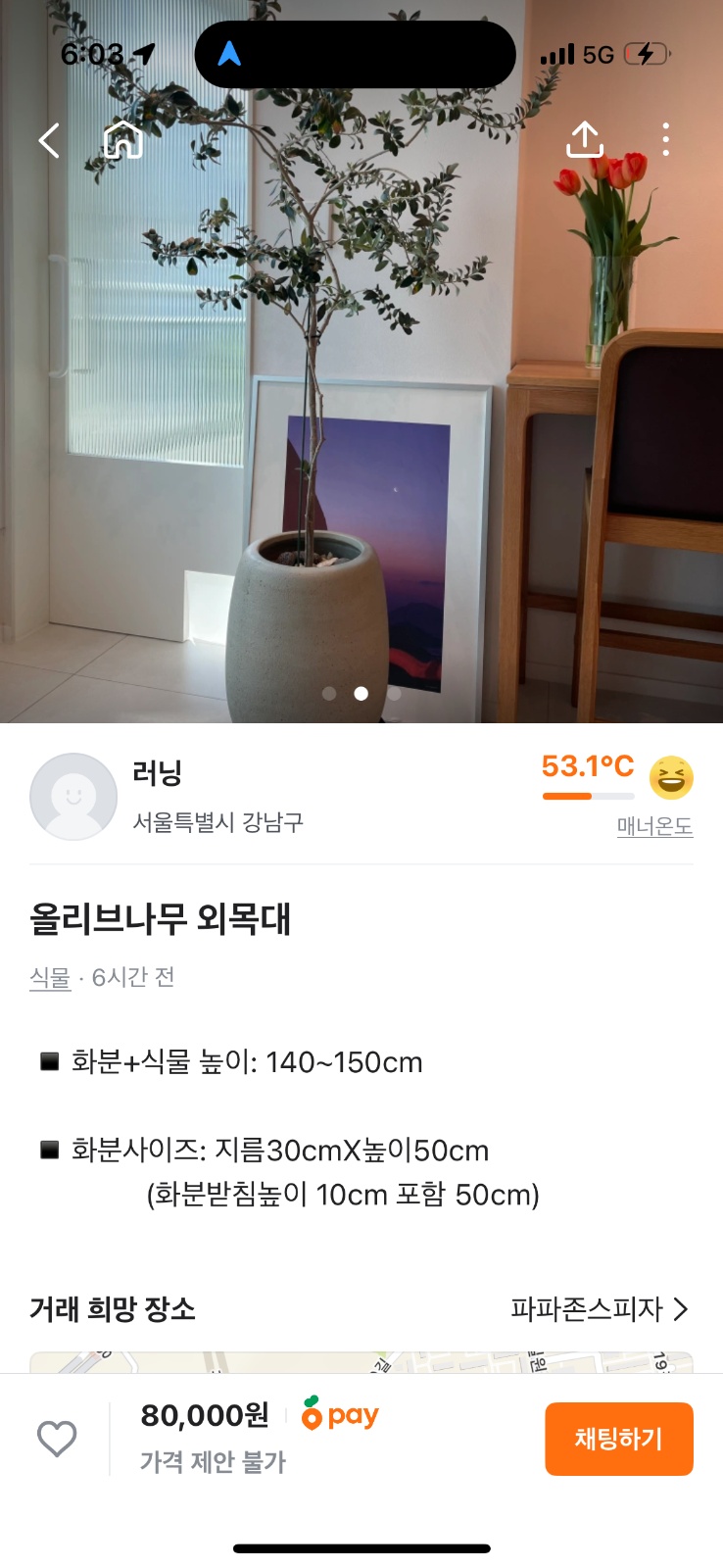 화분 옮겨주실분 공고 썸네일