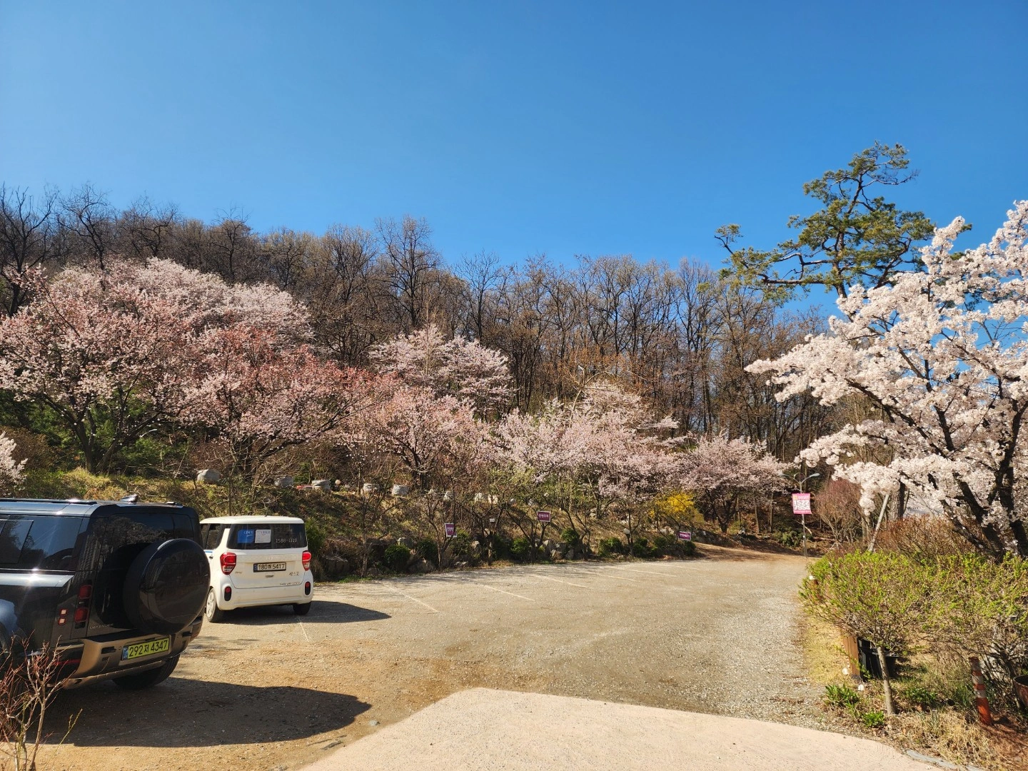 주방보조,설거지구함