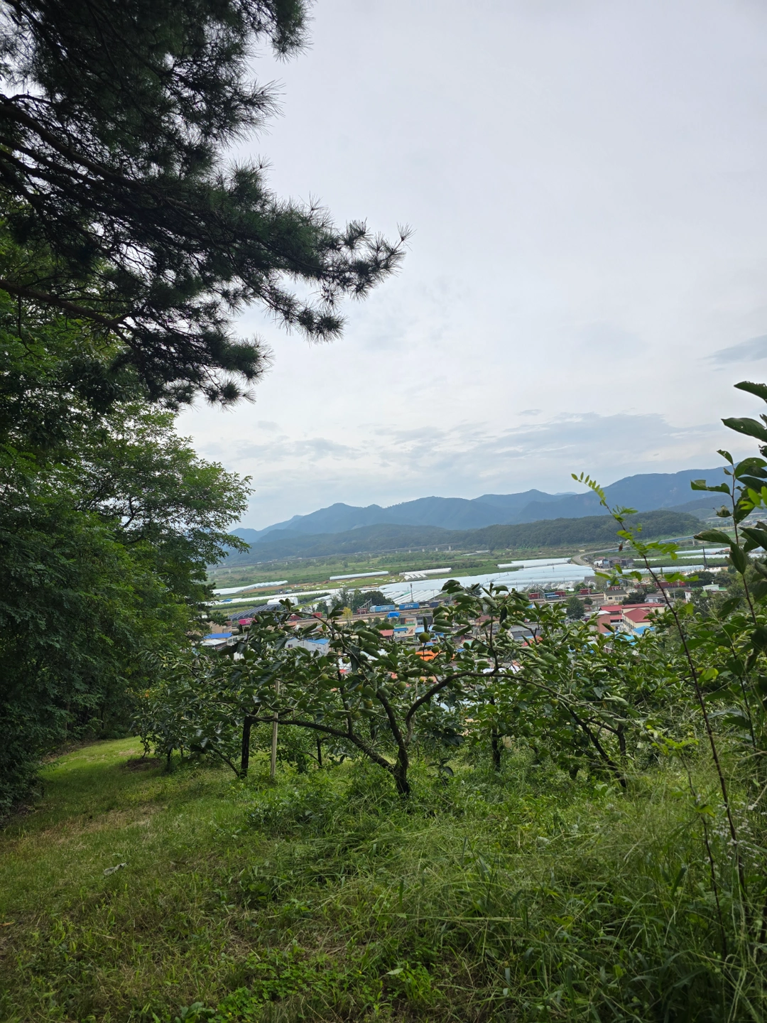 농사일하실분