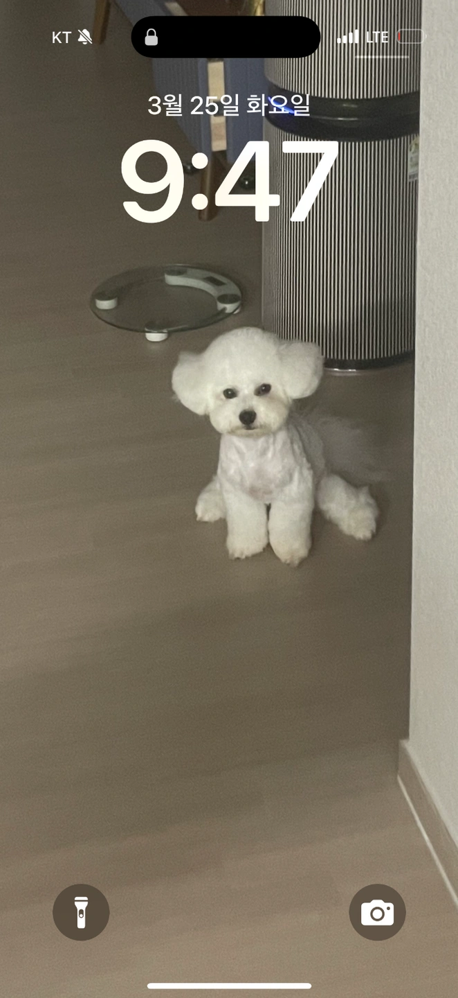 진주 우미린 아파트 가사도우미 이모 구해요