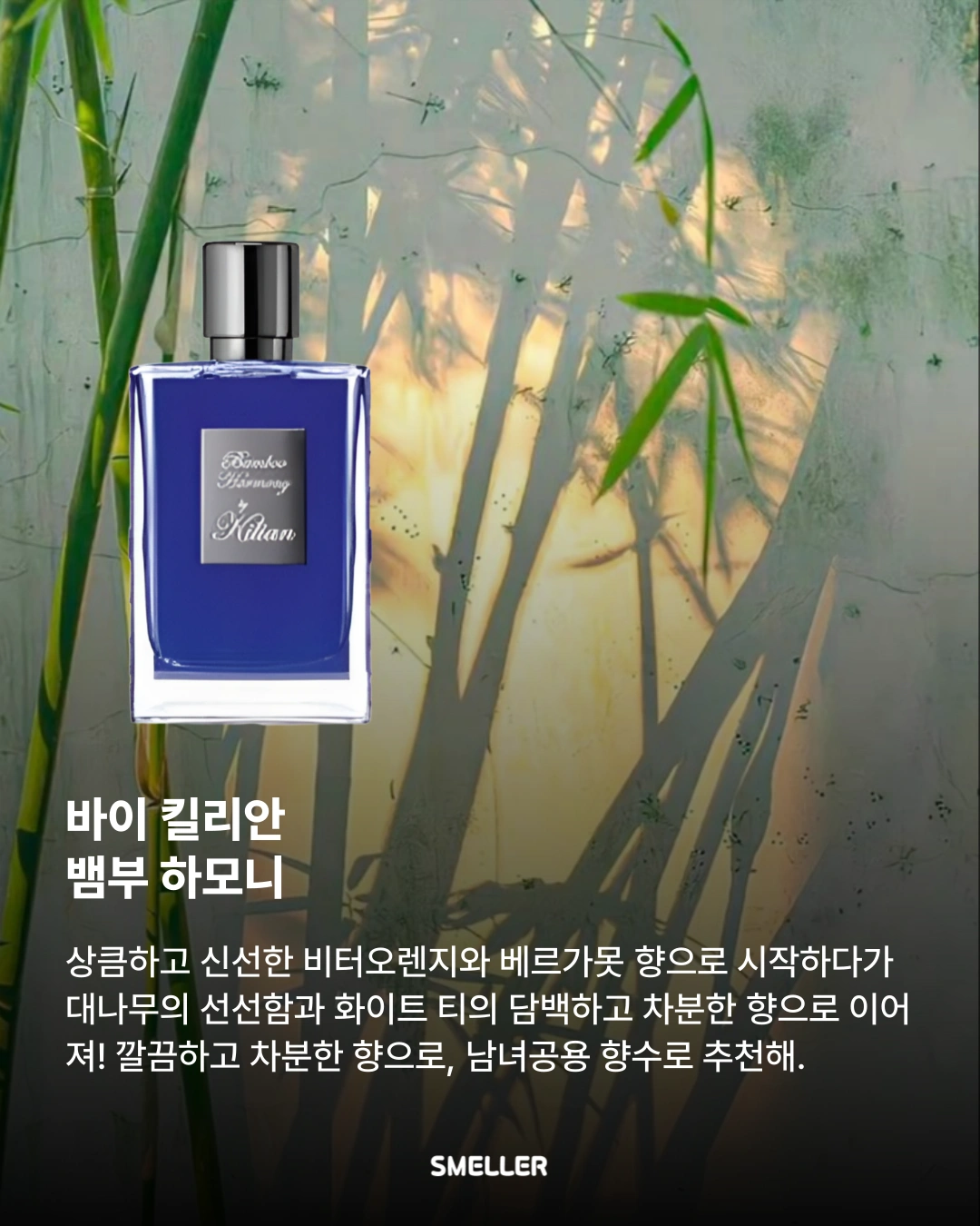 인스타그램 향수 매거진 카드뉴스 제작 디자이너 채용
