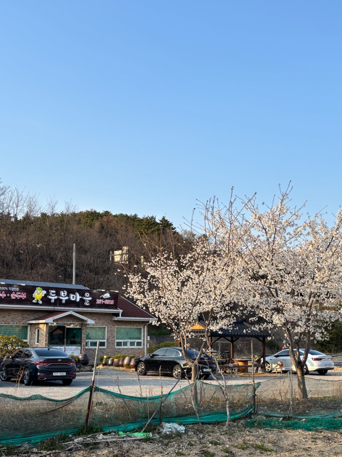 홀서빙, 주방보조및 설거지 하실분 공고 썸네일