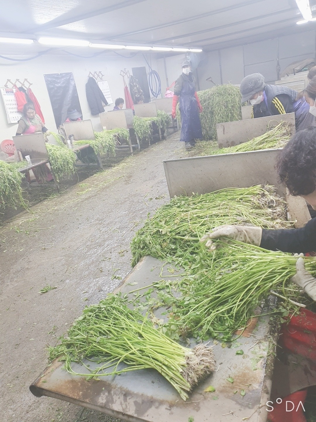 범방동 강변농장 아르바이트 장소