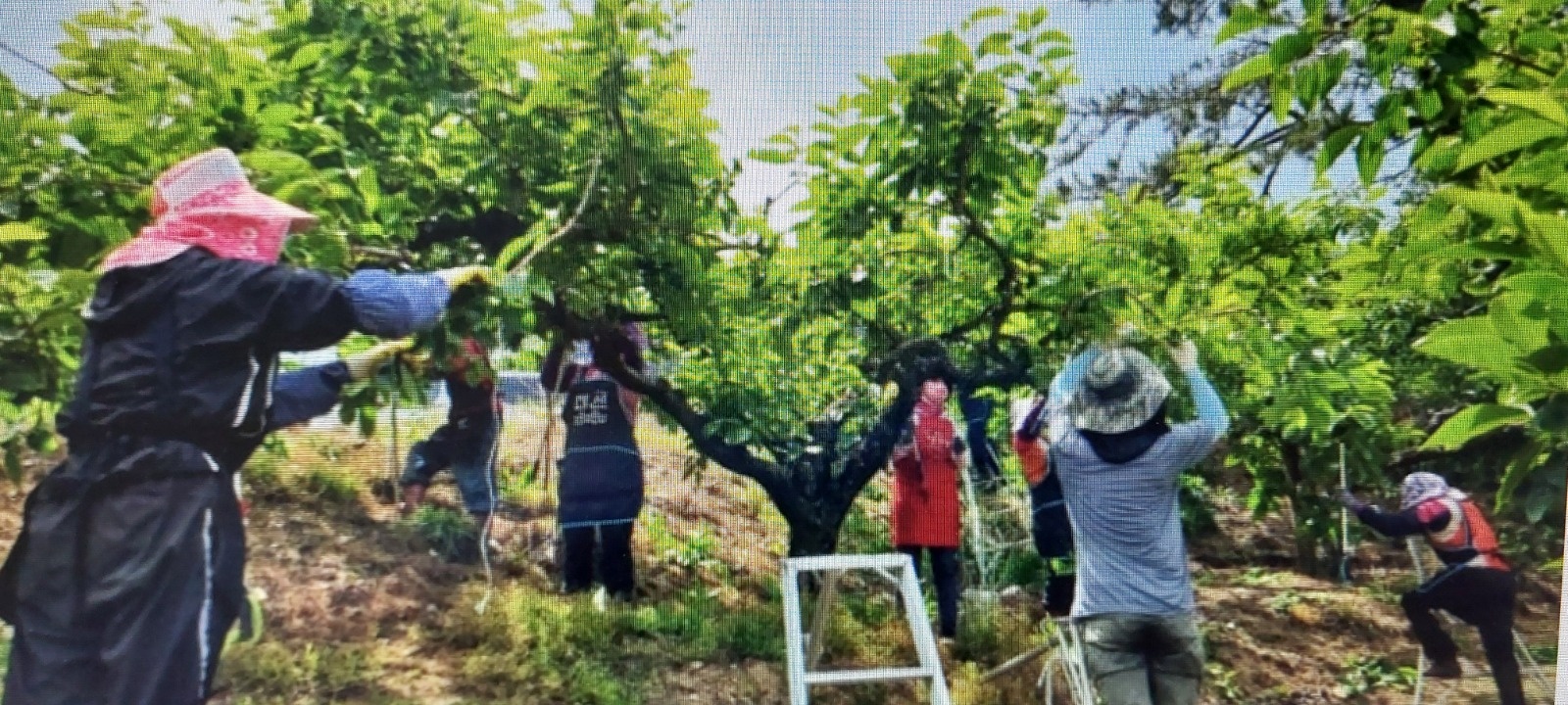 운전기사1명 구합니다 공고 썸네일