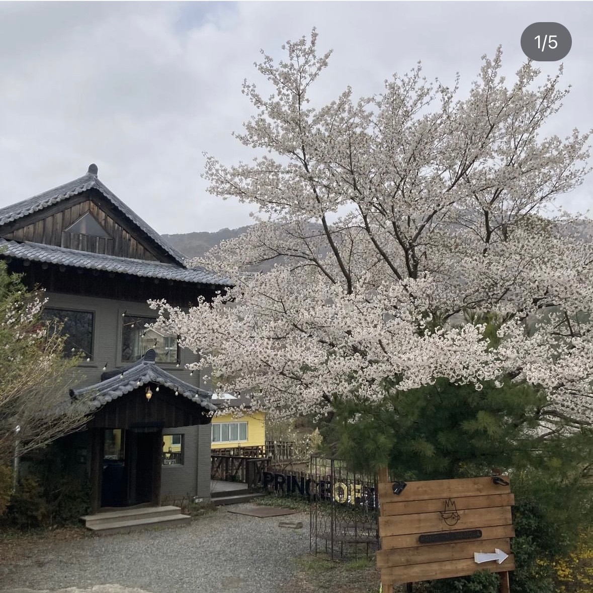 주진동 홍차왕자 본점 아르바이트 장소 (2)