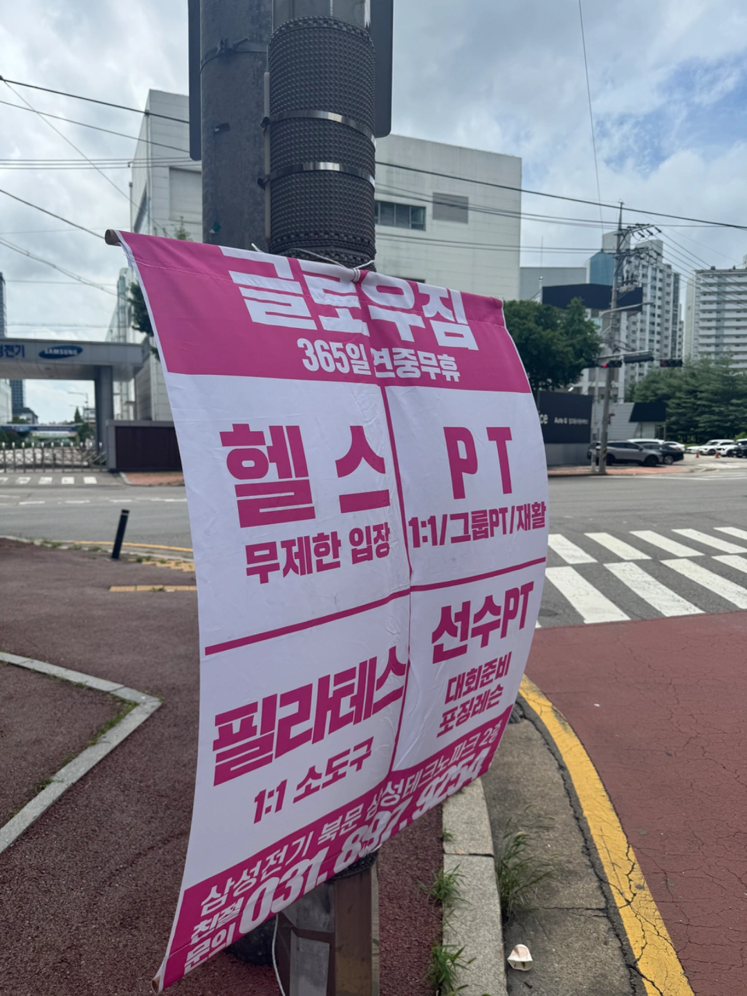 헬스장 프리랜서 트레이너