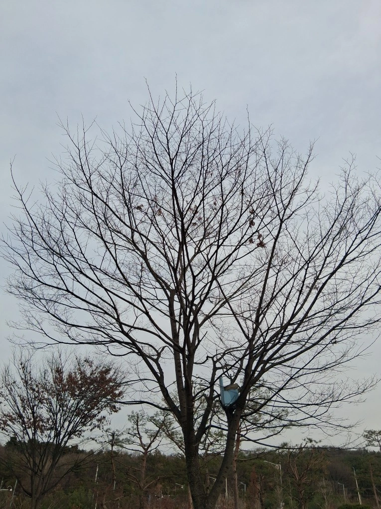 대리운전기사님모집