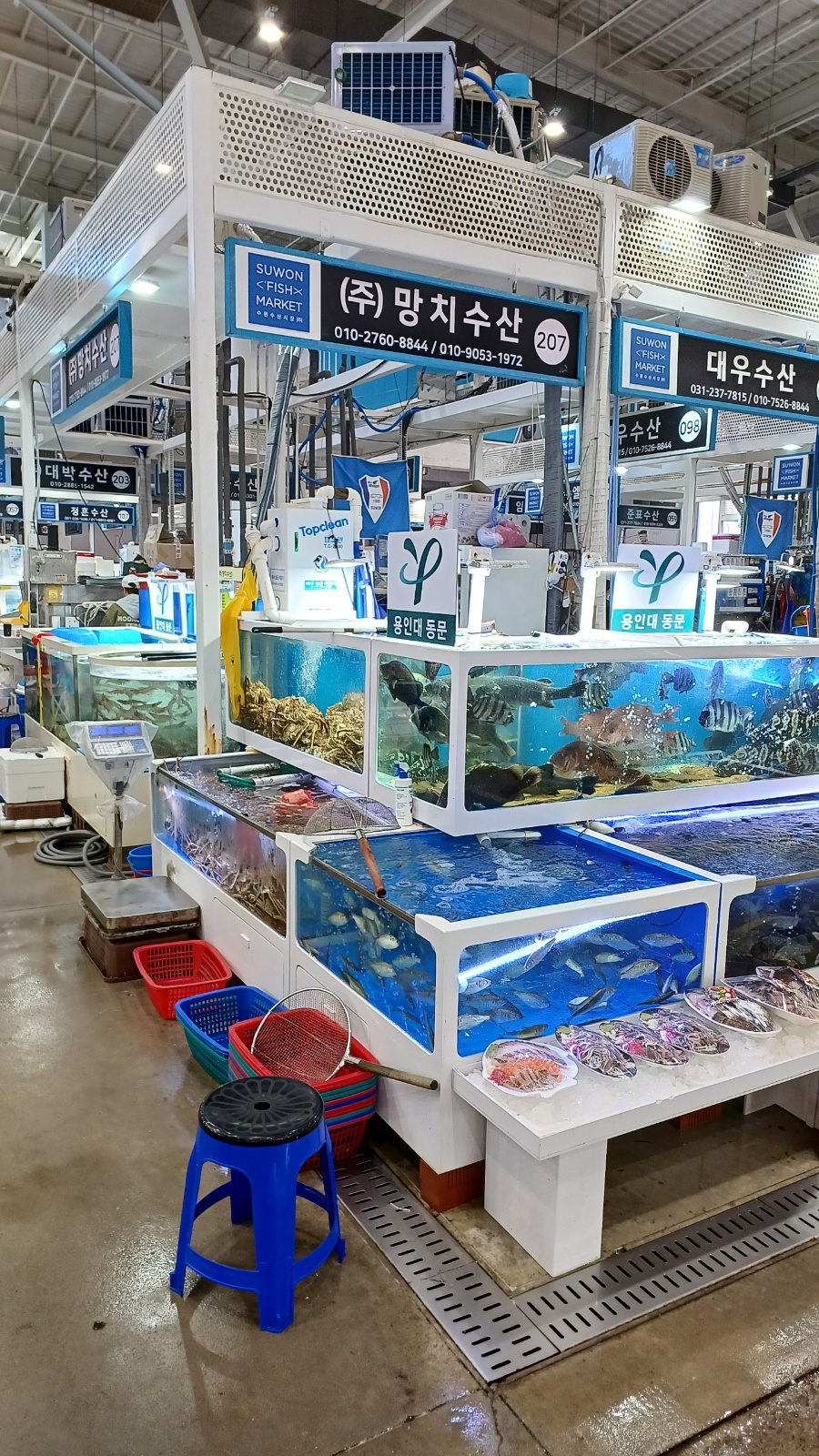 야채 씻고 다듬기 포장 공고 썸네일