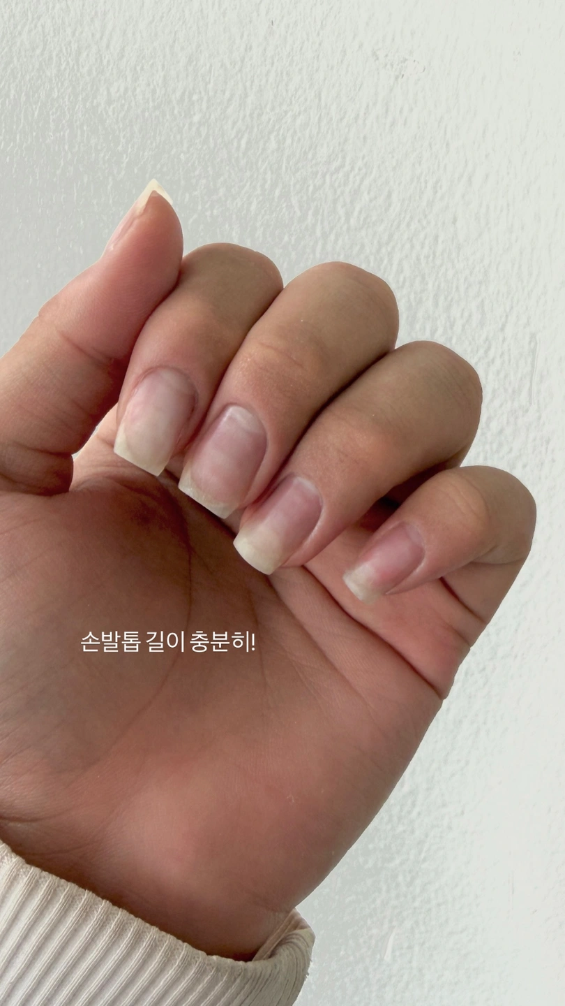 네일아트 실기시험 모델 구합니다!