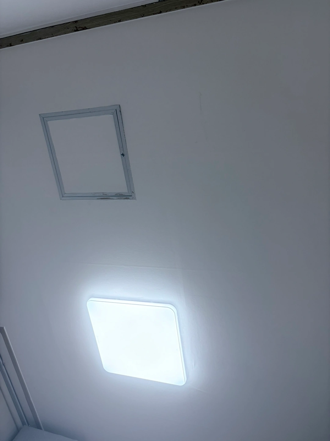 갇힌 동물 꺼내주실분..(동물인지 아닌지 모르겠어요)