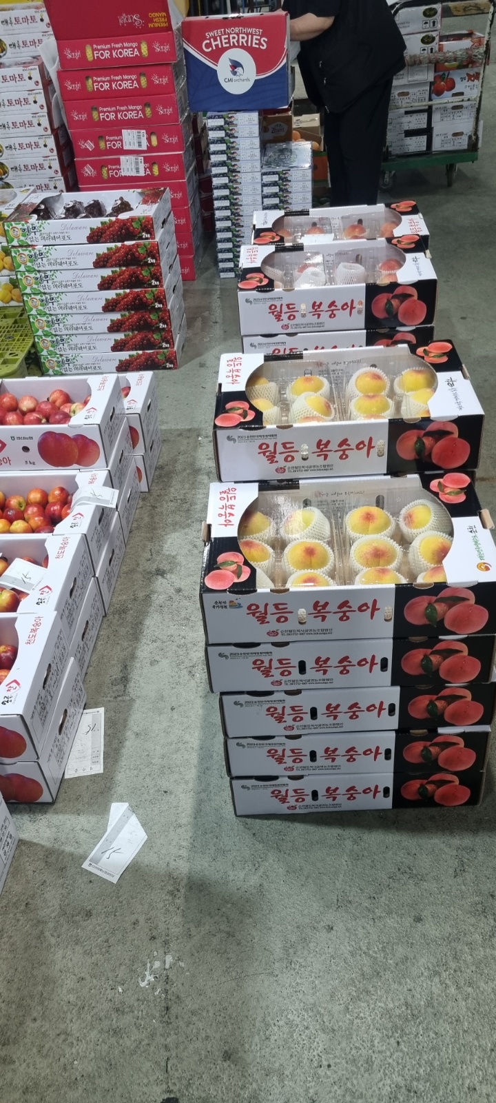 알바구함 성실하고 시간약속을 잘지키시는분 공고 썸네일