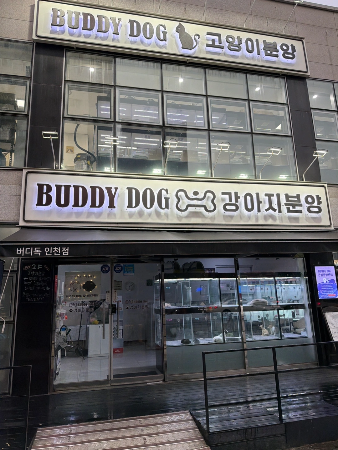 강아지분양샵 강아지 고양이 오픈 케어 청소