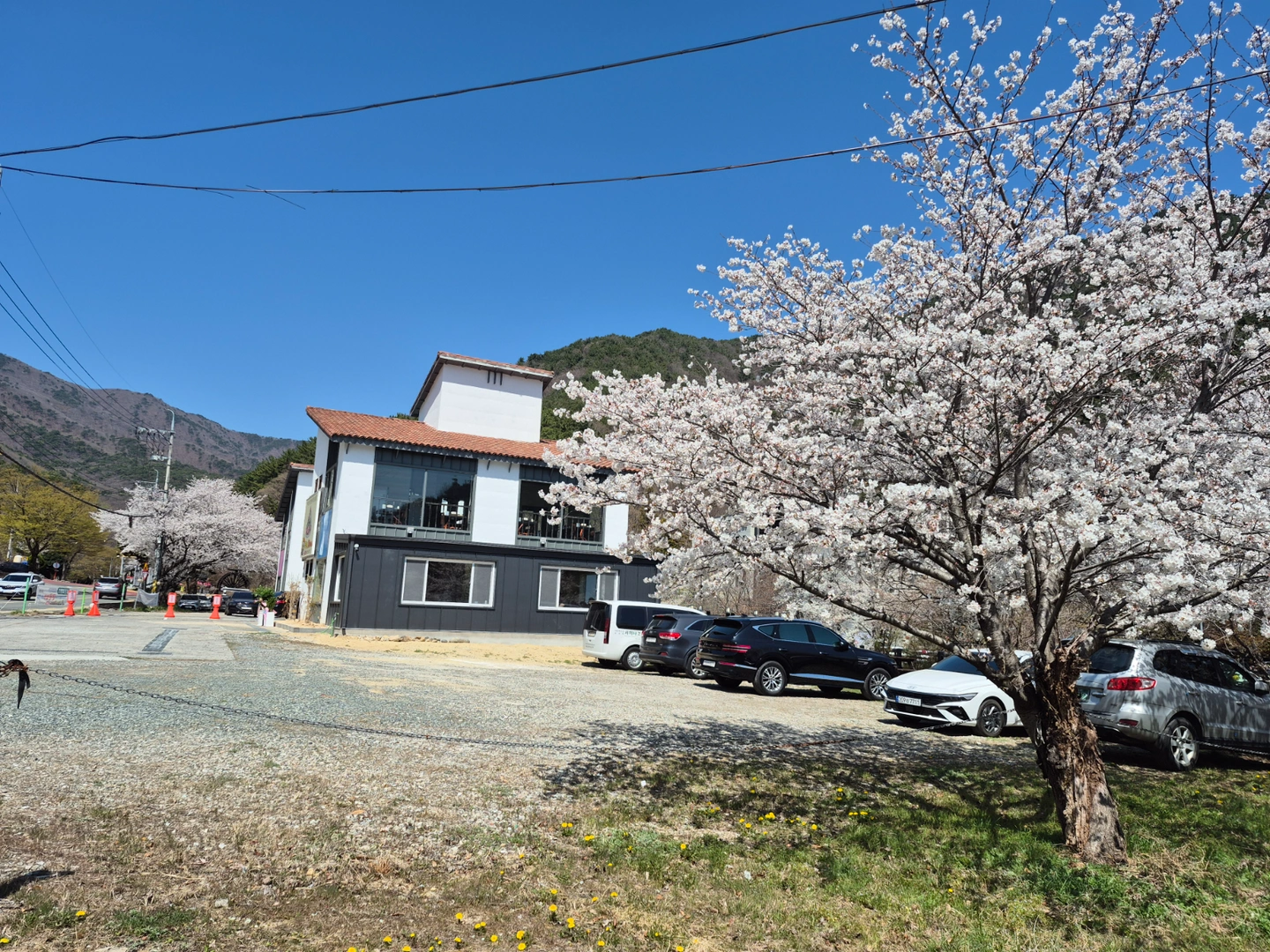 주5일 홀서빙 정직원 구합니다