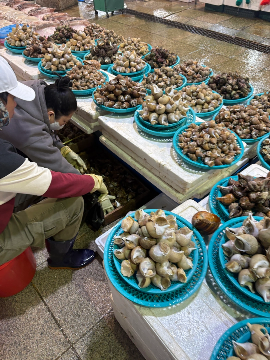 죽도시장 고동 소매업