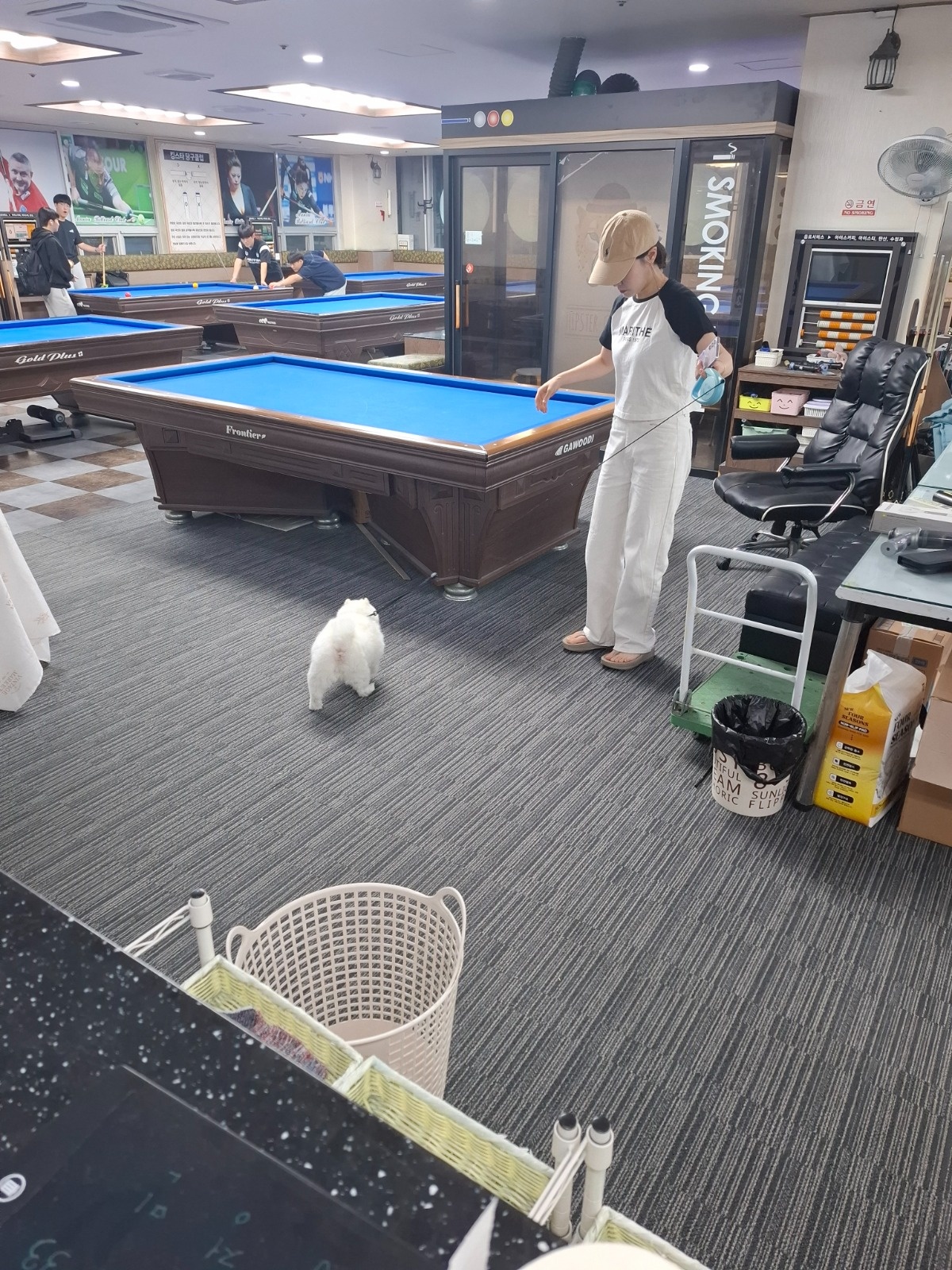 당구장여종업원구합니당! 공고 썸네일
